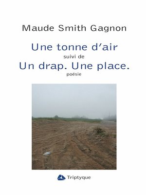 cover image of Une tonne d'air et Un drap. Une place